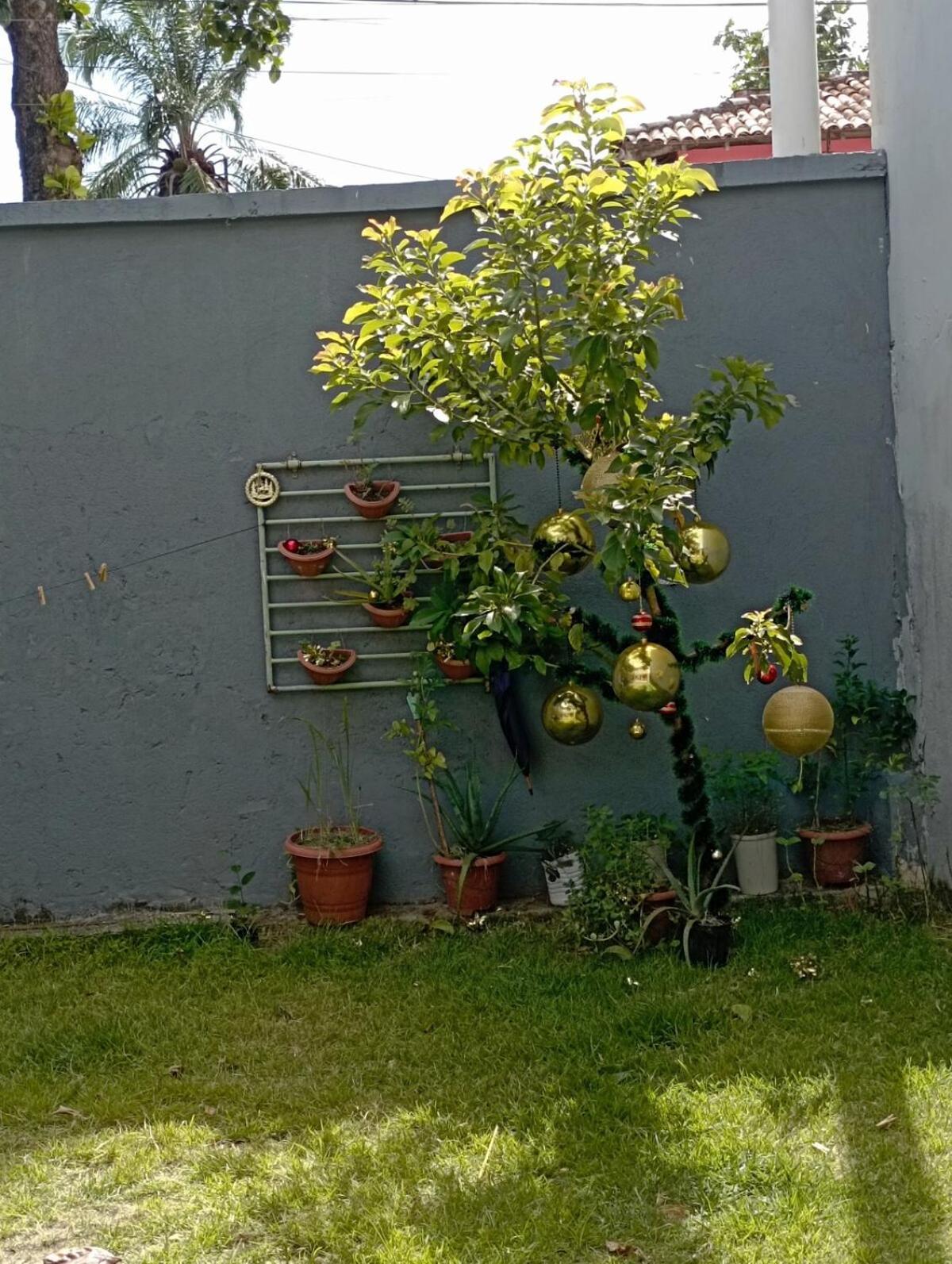 Casa de férias Casa De Mainha